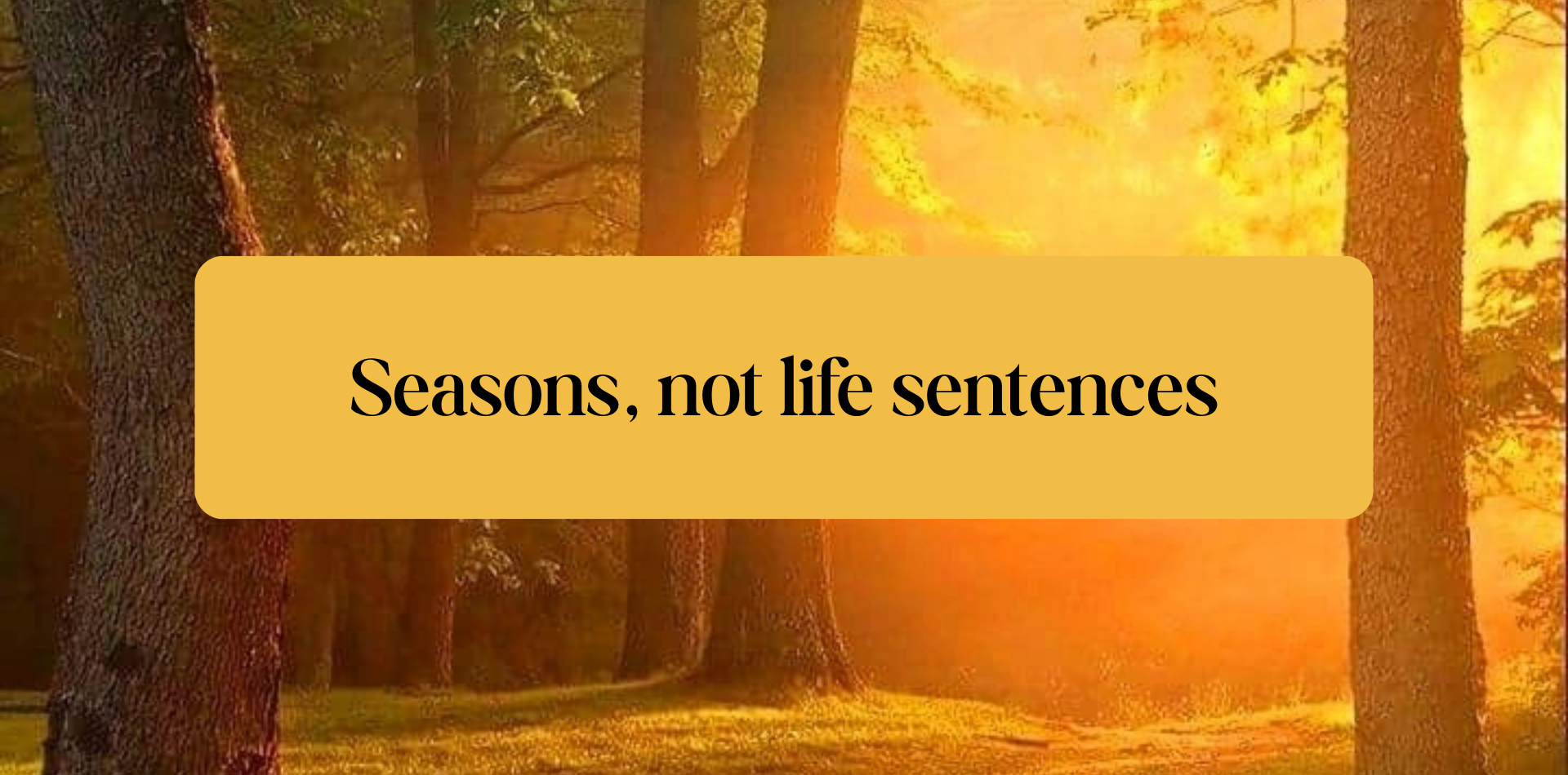 Seasons, Not Life Sentences
